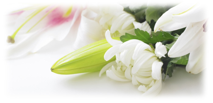 後悔しない為に「価格の裏側」を考える